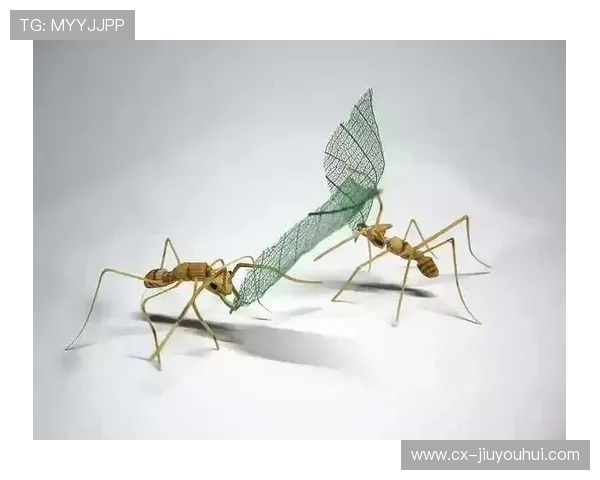 从蚂蚁阵型到蜻蜓进攻看虫子世界里的足球智慧 从蚂蚁阵型到蜻蜓进攻看虫子世界里的足球智慧